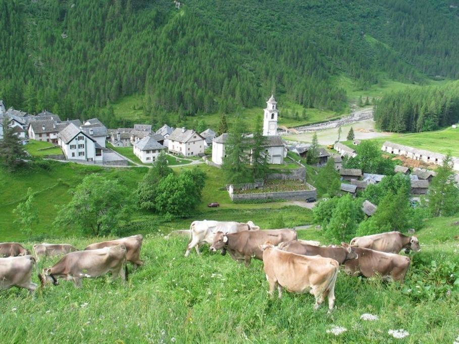 Casa Di Vacanza Giovanibosco Bosco Gurin Exterior foto